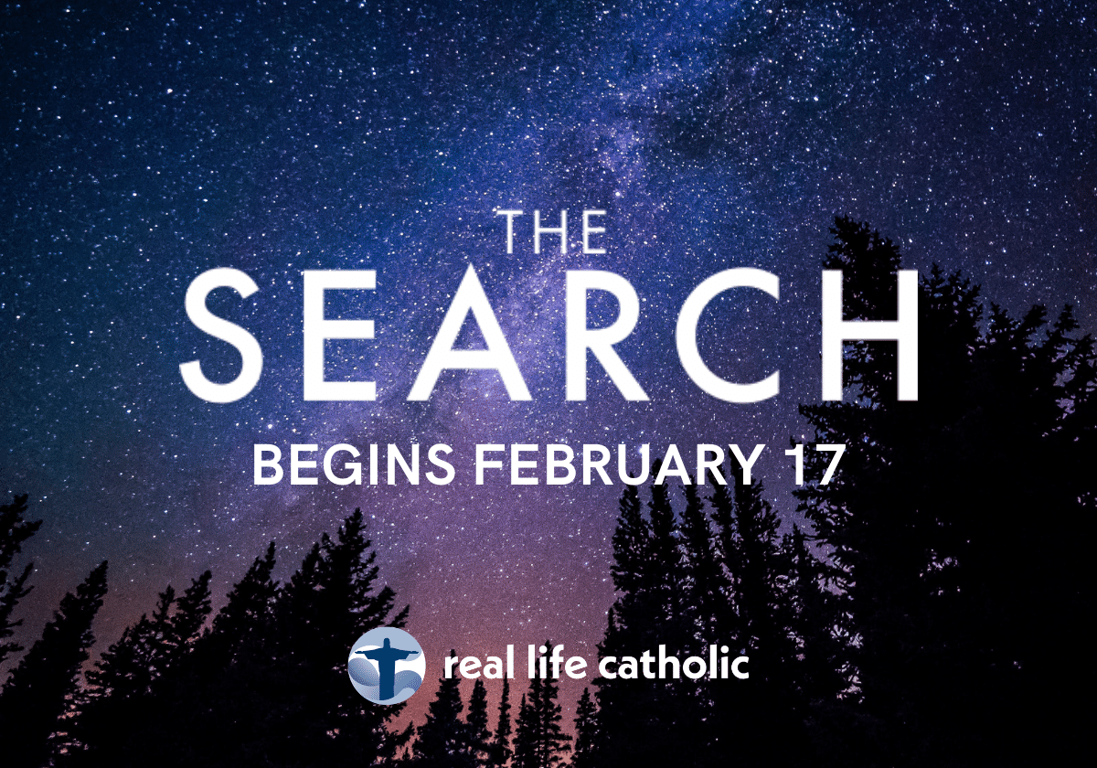 Search Search